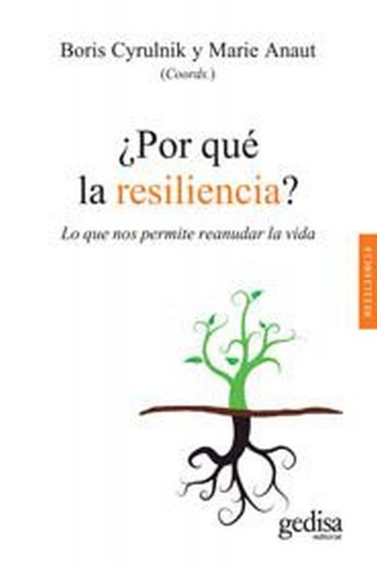¿ Por qué la resiliencia ? 